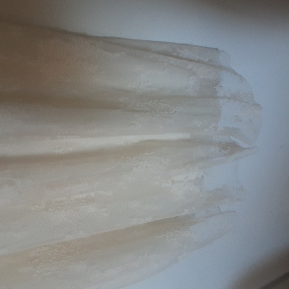 Anna- Kaci Sheer Lace Slip Dress Sz M/ L - Picture 4 of 9